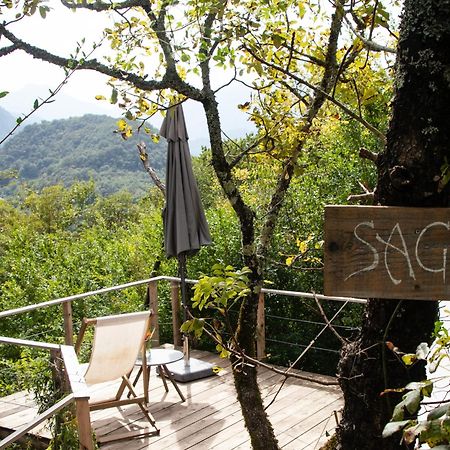 Hoopoe Glamping Hotel Virpazar Bagian luar foto