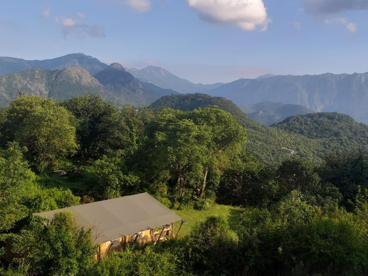 Hoopoe Glamping Hotel Virpazar Bagian luar foto